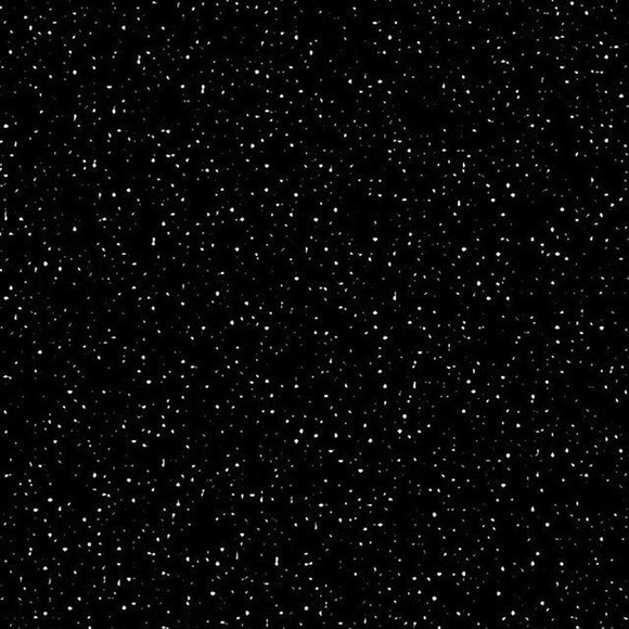 Meet your Posher, Mya - Picture 1 of 1